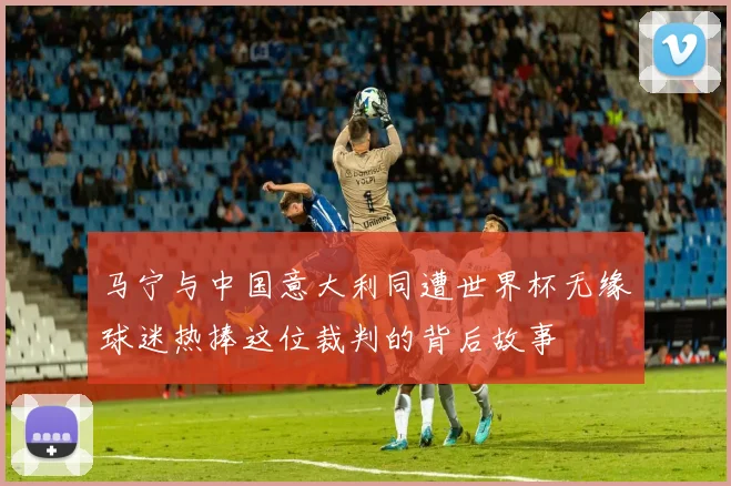 马宁与中国意大利同遭世界杯无缘球迷热捧这位裁判的背后故事