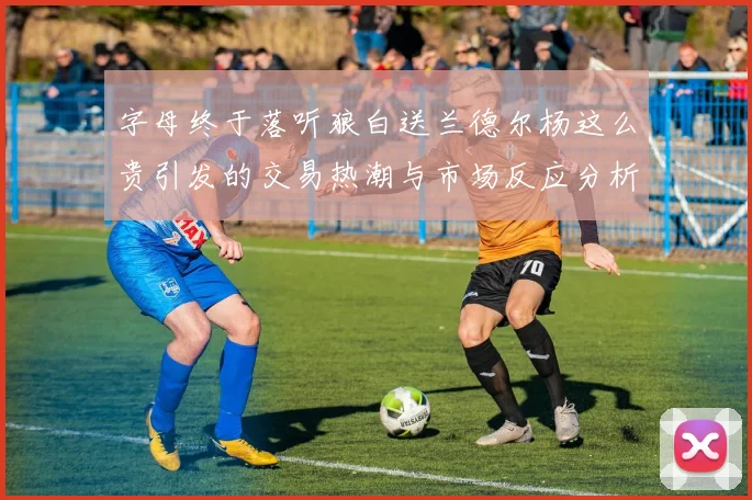 字母终于落听狼白送兰德尔杨这么贵引发的交易热潮与市场反应分析